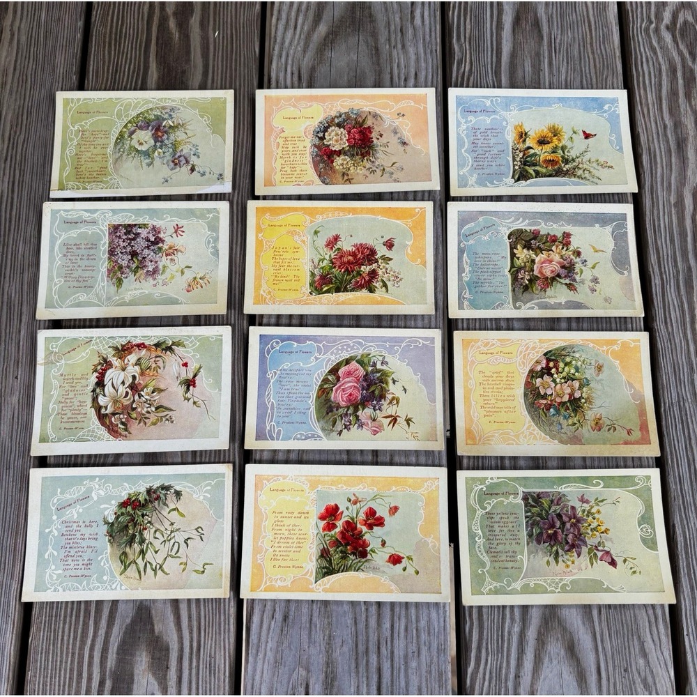Tuck "Language of Flowers" Postcard Lot 12 Tessie H. Wright Divided Back